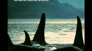 Download lagu Pacific Blue, Musical Soundscapes - Winter Voyage/Rain mp3