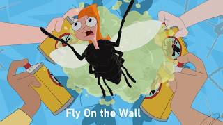 Cover art for Fly on the wall