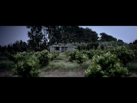 ZADK _ GLXY ( Clip Officiel )