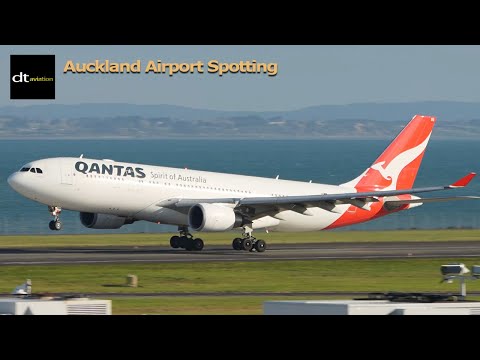 Avistamento de aviões na primavera - Aeroporto de Auckland