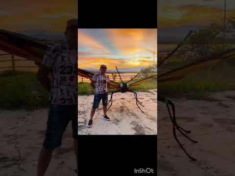 VARIEDADES DEL ESPECTÁCULO AIRES DE MI TIERRA PRODUCCIÓN HENRY CAMERO. DESDE COYAIMA TOLIMA