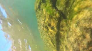 North Fork American River Underwater