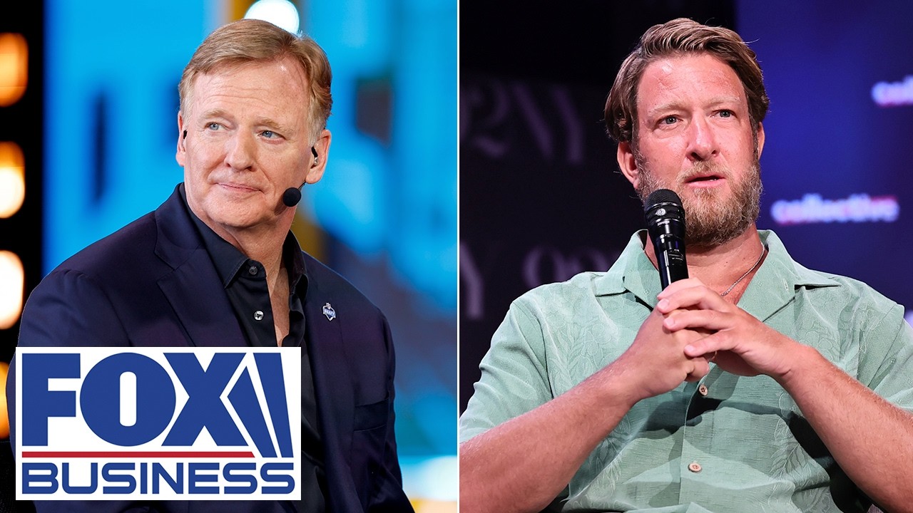Dave Portnoy sounds off on NFL’s Roger Goodell: He ‘doesn’t care’