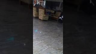 Download lagu ibu sedang tidur mp3