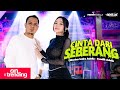 CINTA DARI SEBERANG Difarina Indra Adella Ft Fendik Adella OM ADELLA
