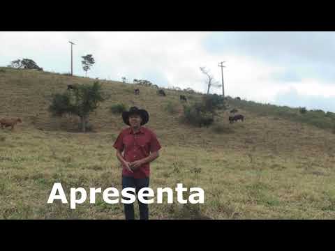 Vaqueiro Vencedor video