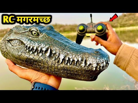 Remote Control Crocodile 🐊 Unboxing & Testing | Rc Magarmachhb | Rc Shark| Rc Crocodile