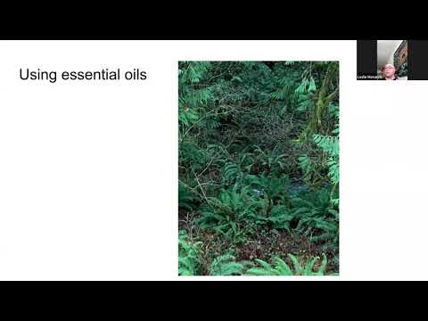 The Medicinal Uses of Oil of Abramelin