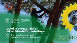 Lavori in quota su funi nell'ambito dell'arboricoltura