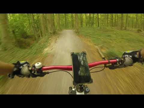 Geisterholztrail (Oelde NRW)