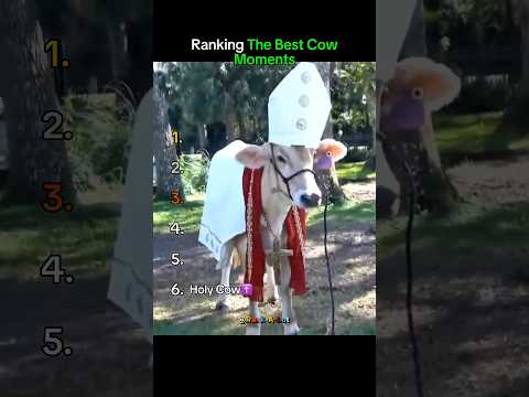 Classement des meilleurs moments de la vache