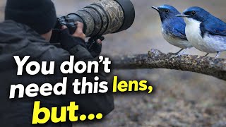Video thumbnail for I Don’t Need the Sony 600mm f/4… But It Changed My Bird Photography by Pavlik Photography Productions