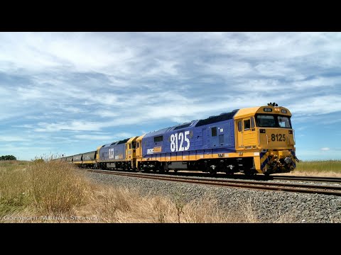 7731V Pacific National Grain Train With VHAF Hoppers (30/11/2020) - PoathTV Australian Railways
