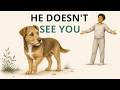 Your Dog HAS NEVER SEEN YOU. Here's What It Sees Instead. DEFAULT Thumbnail