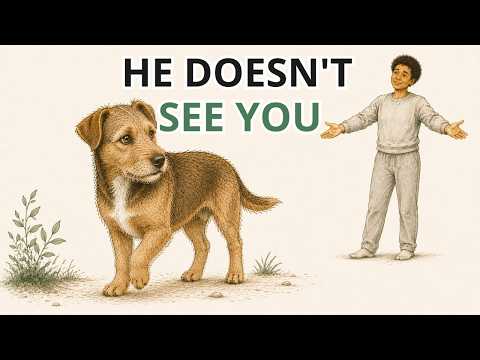 Your Dog HAS NEVER SEEN YOU. Here's What It Sees Instead.