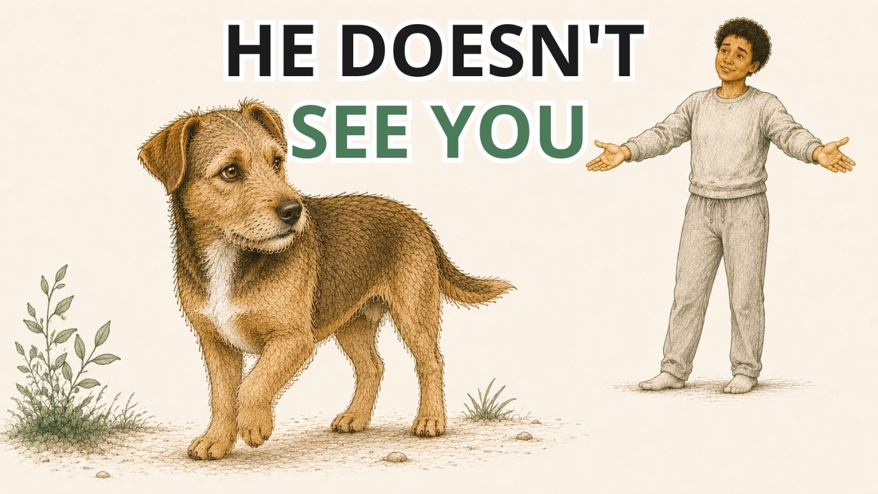 Your Dog HAS NEVER SEEN YOU. Here's What It Sees Instead.