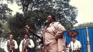The Longbranch Park Blues Festival -Longbranch Park, Liverpool, NY. 1986