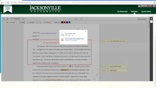 30 Minute Bb Webinar: Blackboard Inline Grading