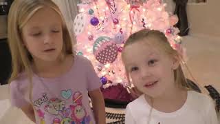 The Grinch Stole Our Christmas!! Real Life Grinch Hide and Seek for Presents!