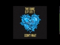 The Duke Spirit - Don't Wait