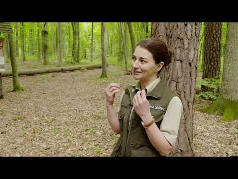 "Przyrodnicze Drogowskazy" - Rezerwat Sosny Taborskiej