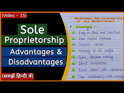 Advantage And Disadvantage Of Sole Proprietorship | Business Organisation |