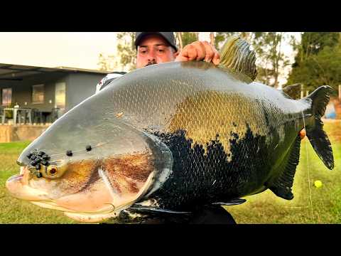 37KG DE PEIXE, ESSE LUGAR É SINISTRO! 1 DIA DE PESCARIA NO DIM