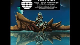 Deep'a & Biri -  3 Forms Of Sadness [Transmat/MS95 ]
