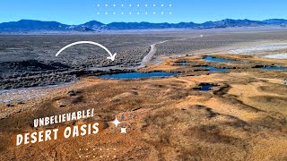 Found The Desert Anomaly I Was Searching For, Hidden In An Unlikely Place : Exploring Remote Utah