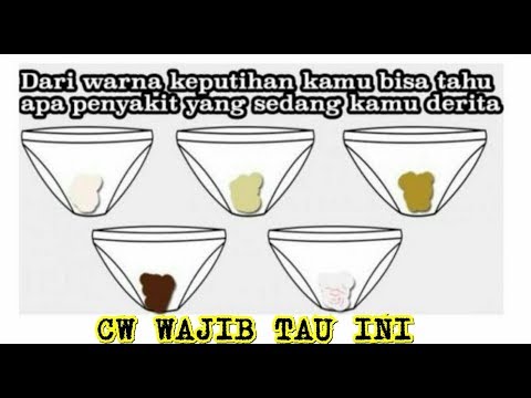Untuk potensi jangka panjang Yang harus diambil untuk meningkatkan potensi
