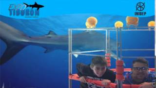 DIA 3 Expo Tiburon40