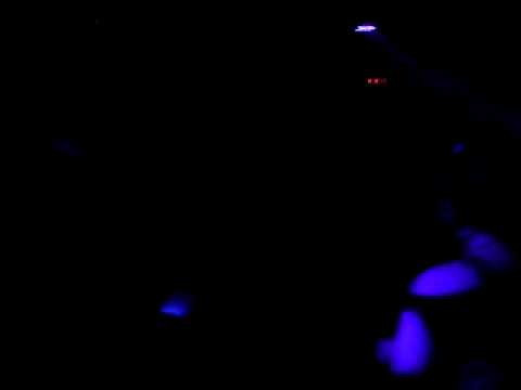 Hector Moralez @ "All Ours" in LA - part 4