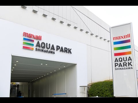 大人気の都市型水族館「マクセル アクアパーク品川」の魅力&独断で選んだ「キュンとする生き物」たちをご紹介