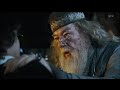 Harry Potter In Japanese DID YOU PUT YOUR NAME IN THE GOBLET OF FIRE Dumbledore Asked Calmly