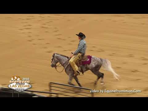 Dualin Stargun ridden by Justin E. Lawrence  - 2016 NRCHA Stallion Stakes (FINALS - Open Rein Work)