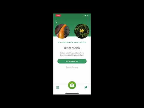 Seek Instructions with iNaturalist