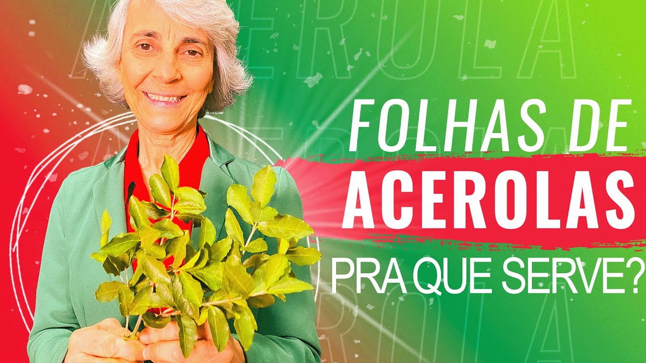 Acerola: imunidade, pele e emagrecimento