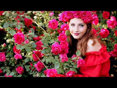 SUNRISE ROSE VON SÜDTIROL