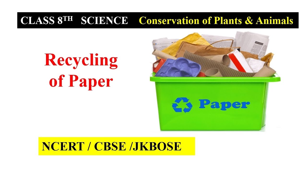 Recycling of Paper || Chapter: Conservation of Plants & Animals || Class 8th-Science