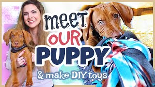 WE GOT A PUPPY!! + 3 DIY Dog Toys - Snuffle Ball & More!