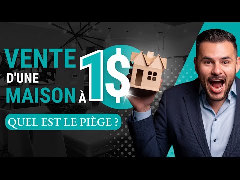 Préparez-vous à découvrir pourquoi quelqu'un vendrait sa propriété pour seulement 1 $ !