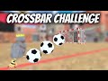 Crossbar Challenge! (BONUS CHALLENGE FOR YOU) Gorilla Soccer