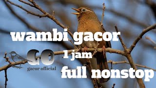 Download lagu wambi gacor 1 jam full nonstop mp3