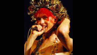 Patrick Wolf - Thickets (Album Version)