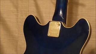 Video thumbnail for Oscar Schmidt OE30 Delta King Hollowbody by JandW Music
