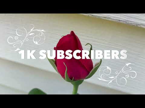 1000 SUBSCRIBERS | BEAUTIFUL FLOWERS COMPILATION | THANK YOU ❤️ | PRINCY'S CORNER