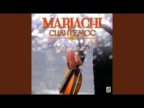 El Mariachi De Mi Tierra