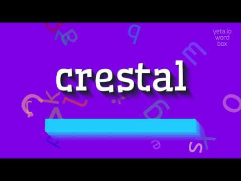 CRESTAL - HOW TO SAY CRESTAL? #crestal