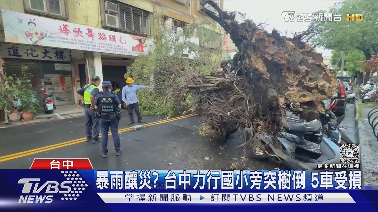 影音／豪雨炸台中釀禍？力行國小旁老樹倒　車頂凹陷電線扯斷