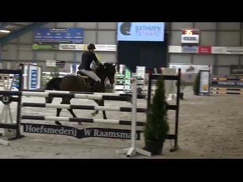 6yo Contendro x Valentino